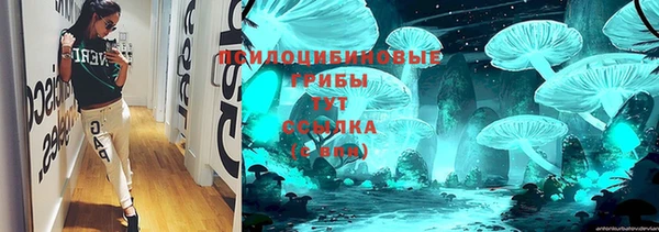 молекула духа Алексеевка
