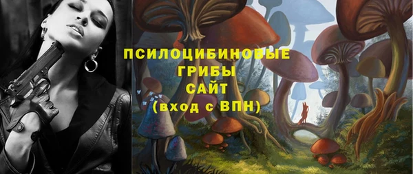 PSILOCYBIN Абдулино